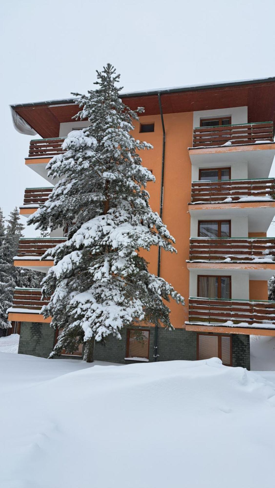 Apartman Palenica II Tatranska Strba Extérieur photo